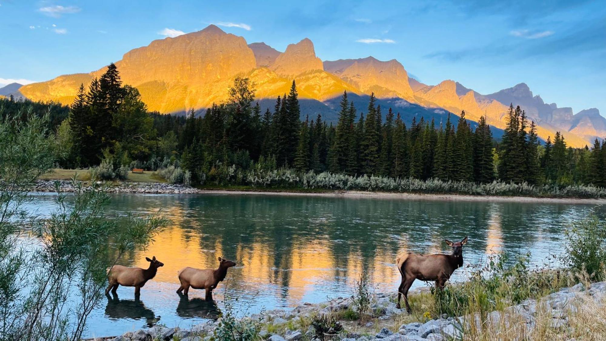 Unit #204 Cozy Mountain View 2Br In Canmore Downtown Exterior foto